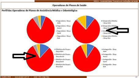 Grfico, Grfico de pizza

Descrio gerada automaticamente